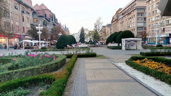 Timișoara 3