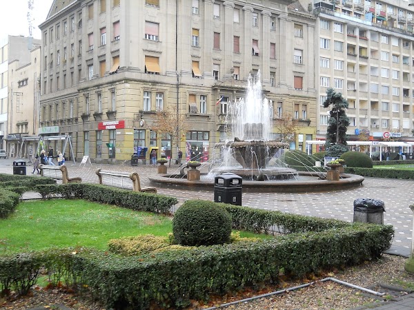 Timișoara 2