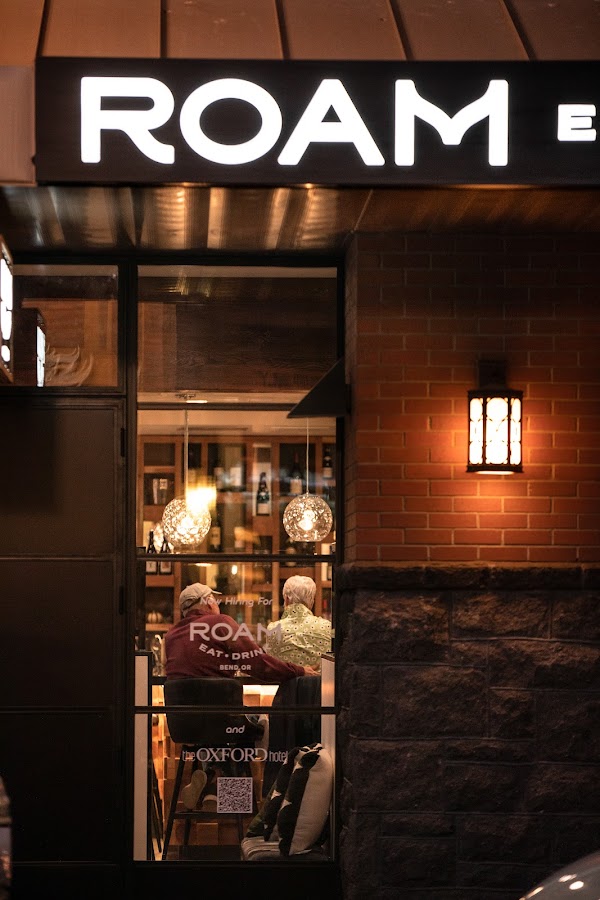 ROAM 1