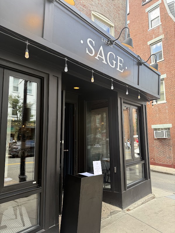 Little Sage 1