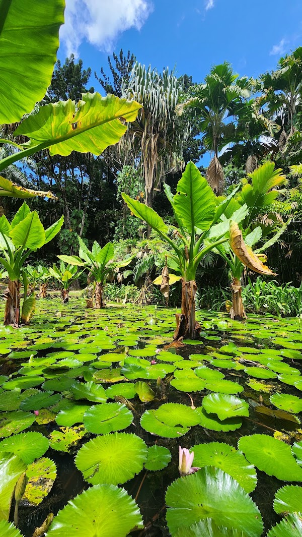Victoria Botanical Gardens 5
