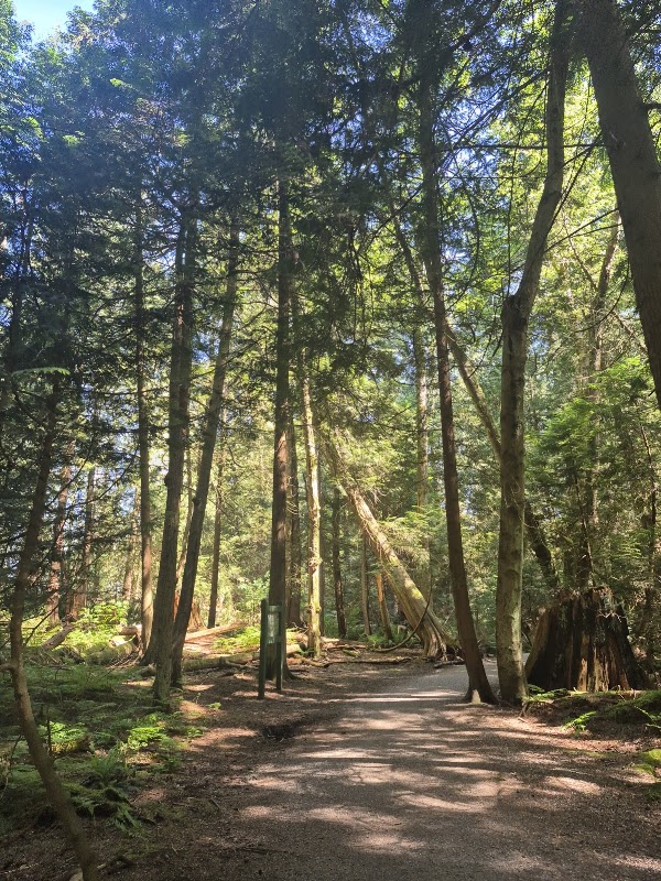 Salish Trail 1