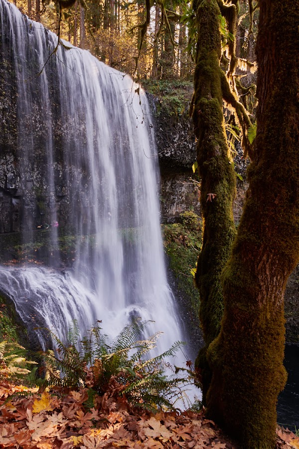 Lower South Falls