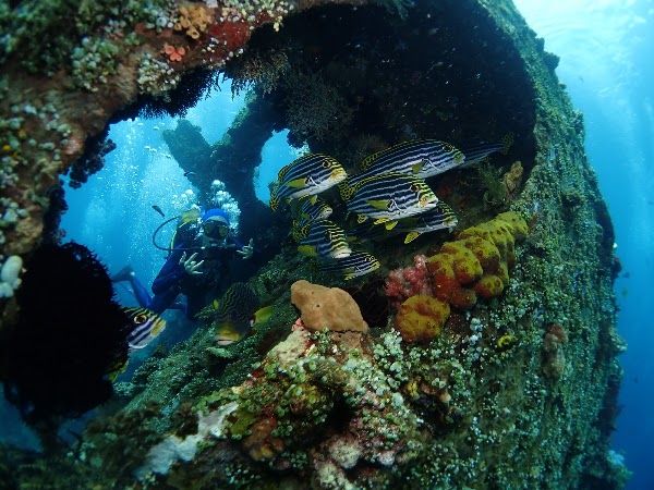 Tulamben Dive