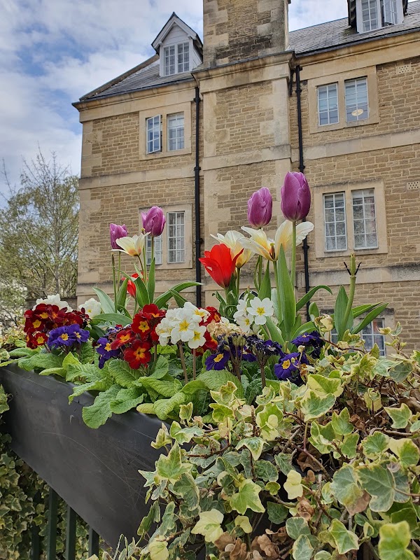 Frome 4