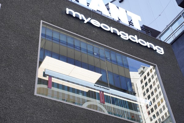 블루엘리펀트 스페이스 명동 BLUEELEPHANT SPACE MYEONGDONG