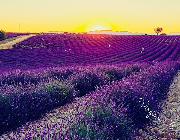 France, my dream places  7