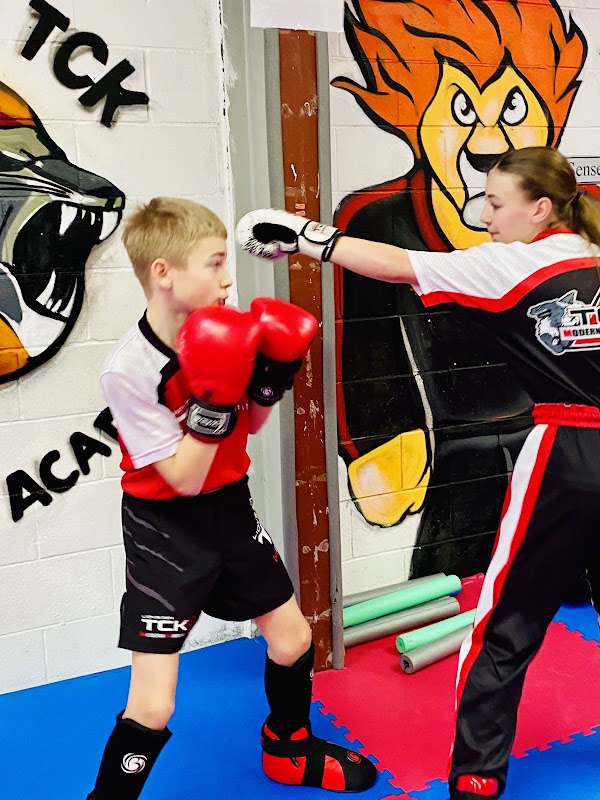 Lion's Den TCK Modern Martial Arts 4