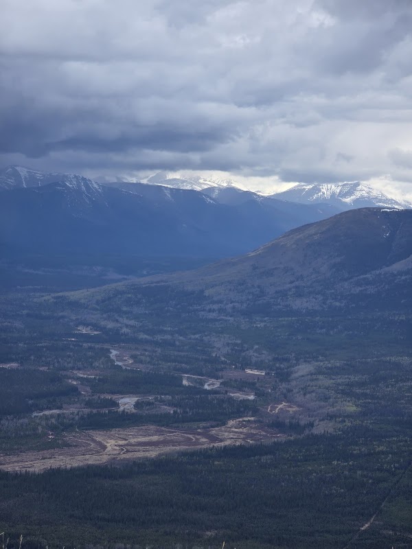 Pink Mountain 4