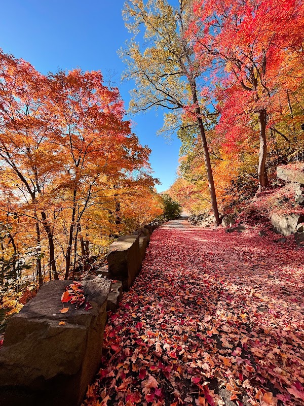 Palisades Interstate Park 2