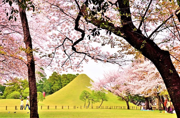 Suizenji Jojuen Garden 4