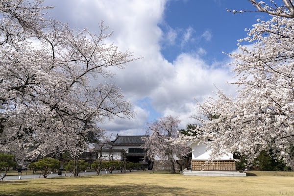 Seiryu-en Garden 3