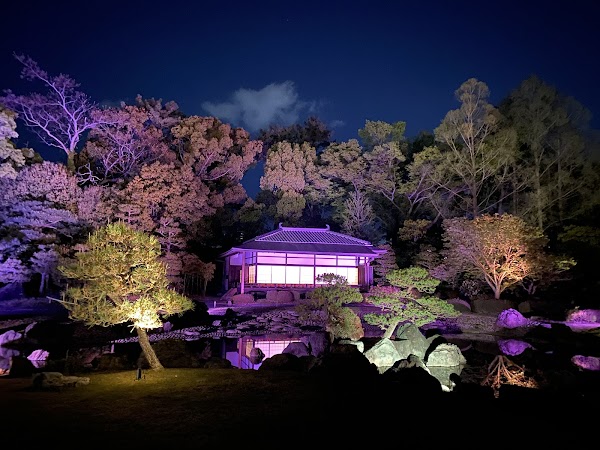 Seiryu-en Garden 2