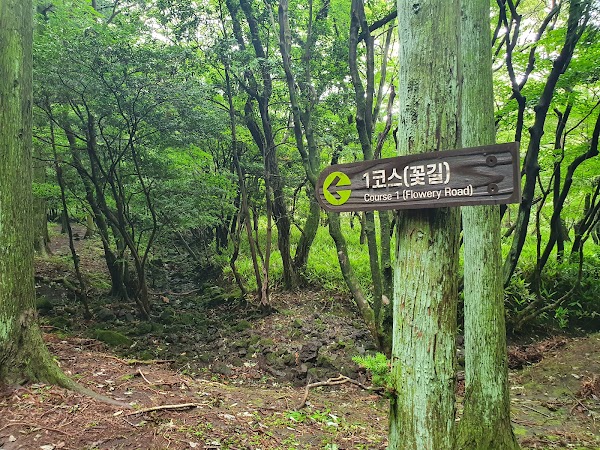 삼다수숲길 2
