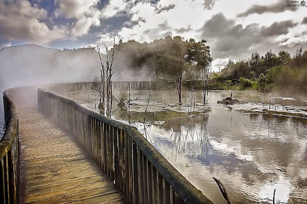 Kuirau Park - Mud Pools