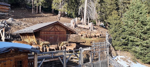 Frommes Alp