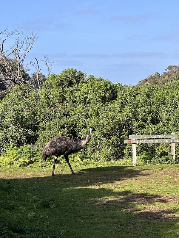 Tower Hill State Game Reserve