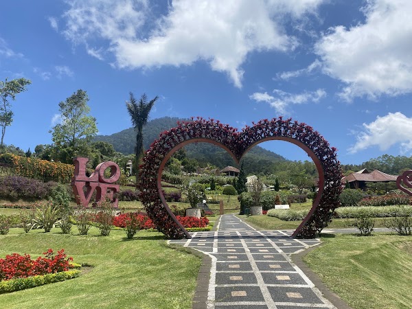 The Blooms Garden