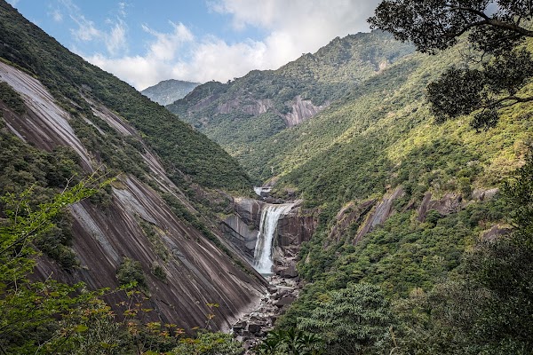 Yakushima Island 3