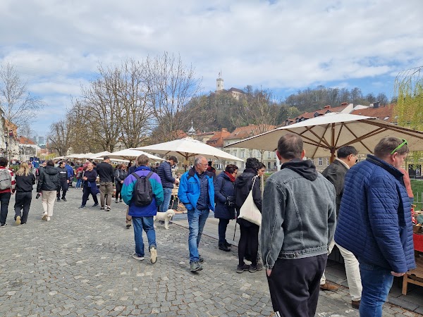 Bolšji sejem • Flea Market Ljubljana 5