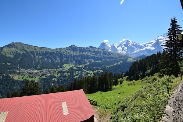 Grütschalp 3