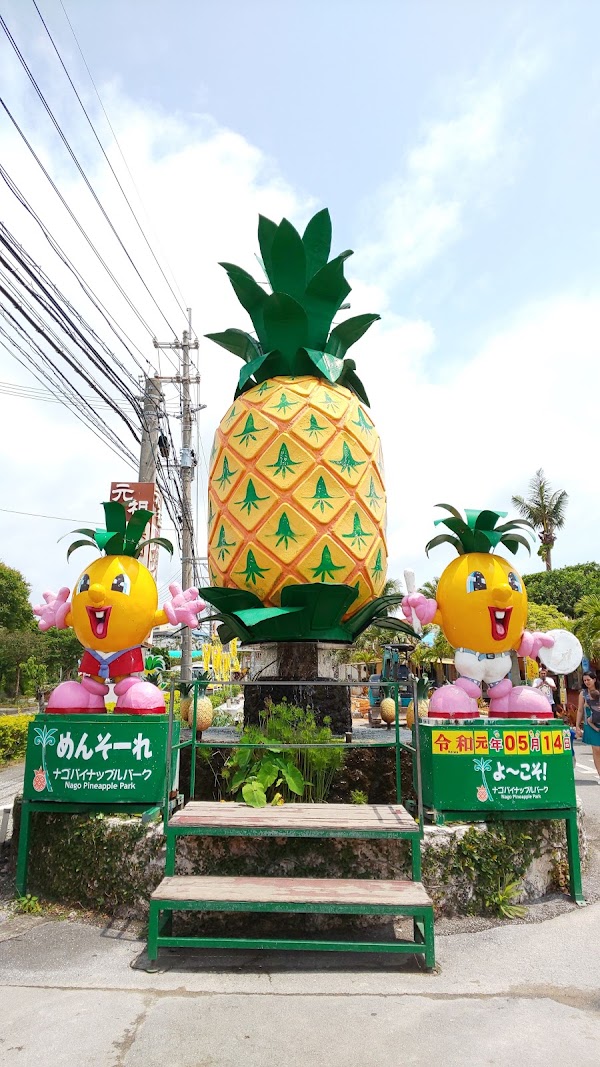 Nago Pineapple Park 4
