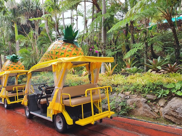 Nago Pineapple Park 3
