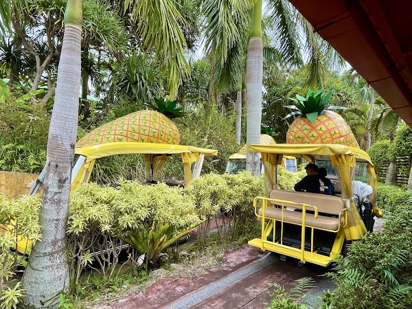 Nago Pineapple Park 2
