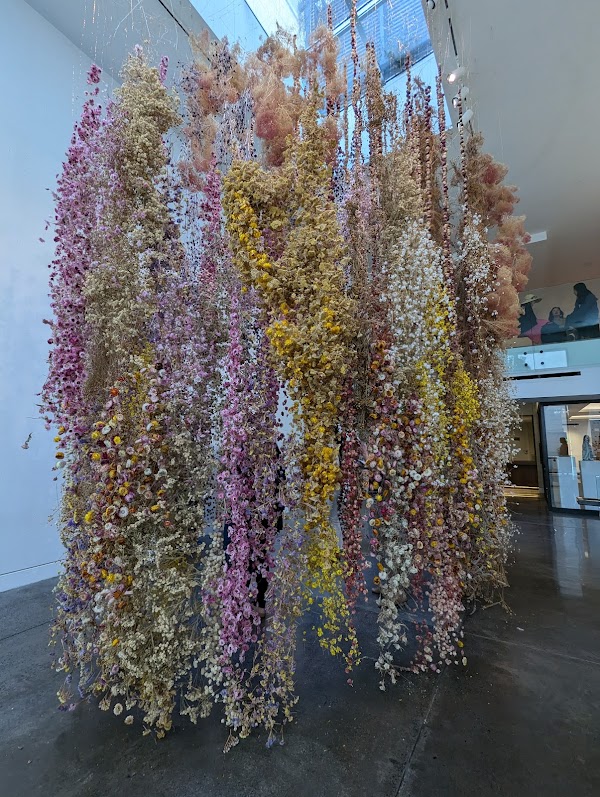 Chandran Gallery 1