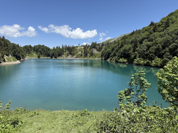 Mtsvane Lake