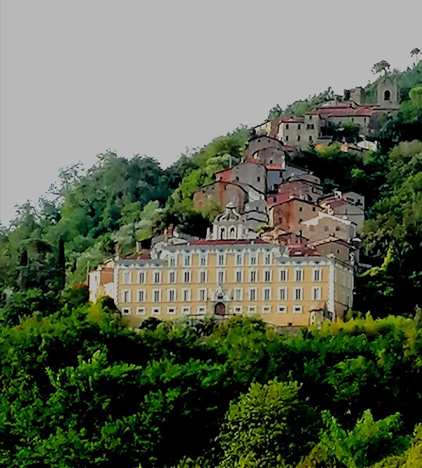 Collodi