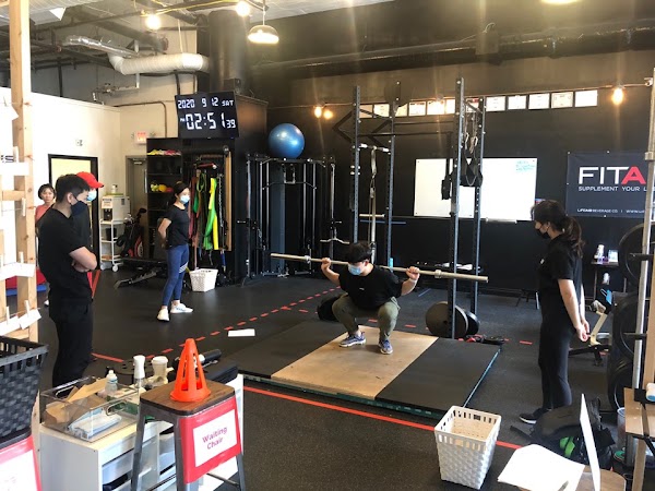 Logic Fitness 1