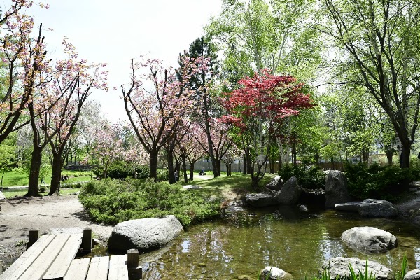 Kariya Park 5