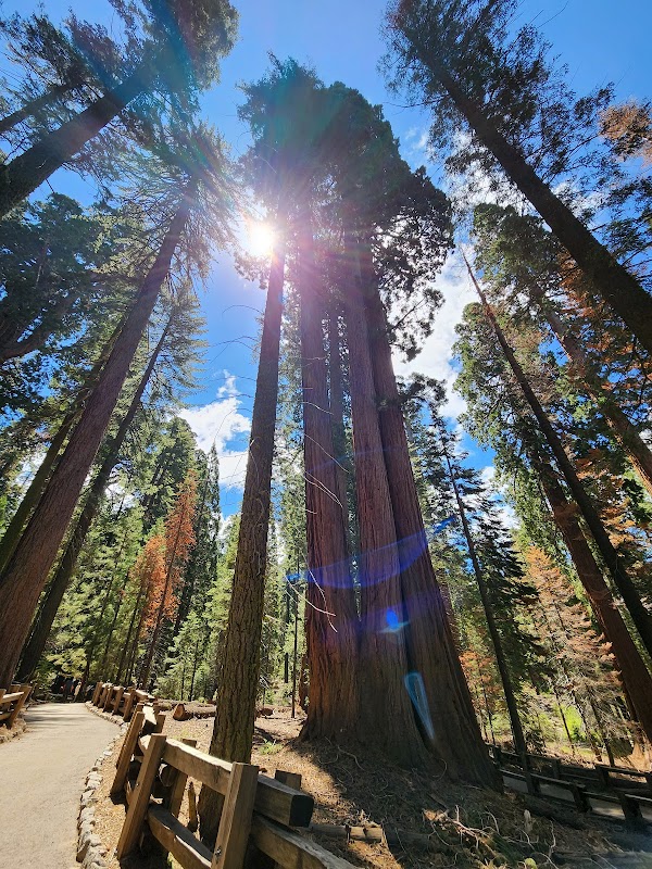 National parks 39
