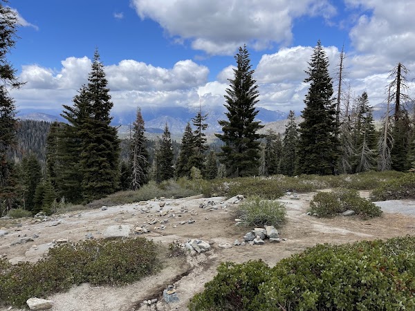 General Sherman Tree Trailhead 5