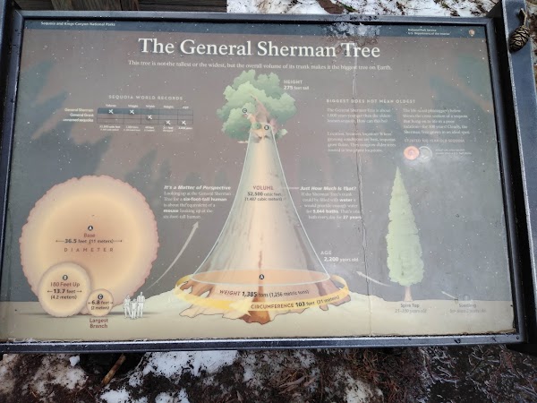 General Sherman Tree Trailhead 4