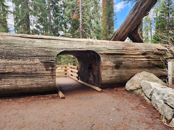 General Sherman Tree Trailhead 3
