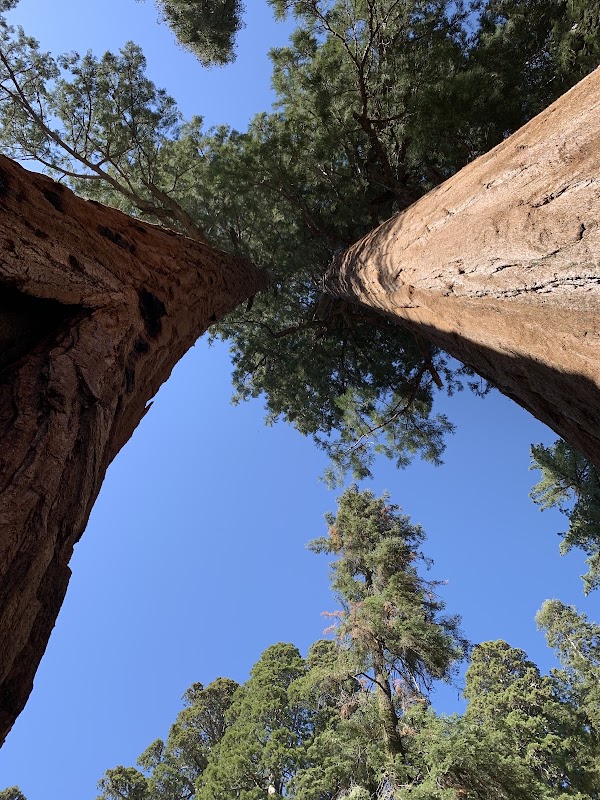 General Sherman Tree Trailhead 2