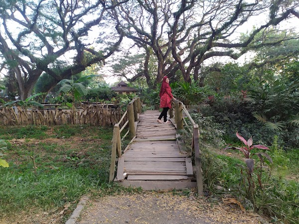 De Djawatan Forest 2