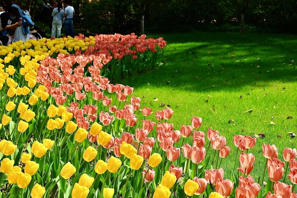 Taiziwan Park 1