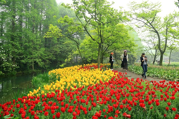 Taiziwan Park 5