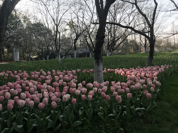 Taiziwan Park 4