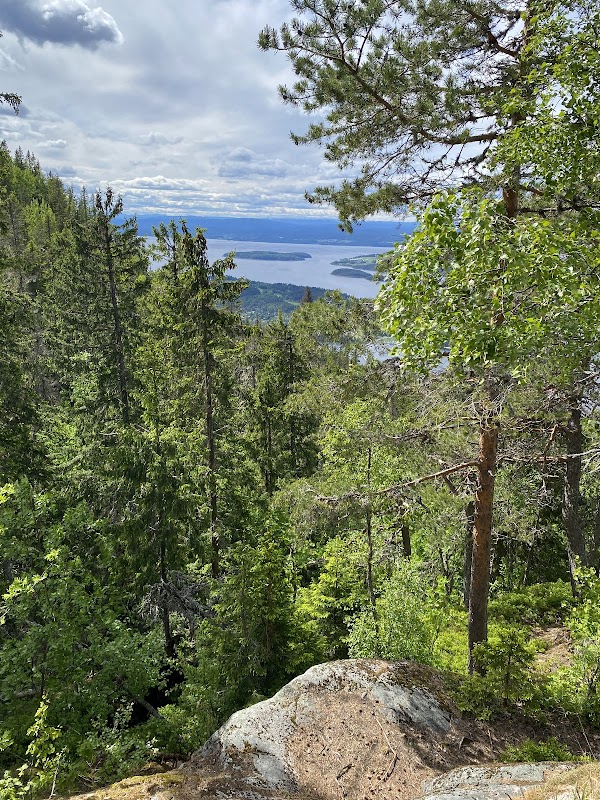 King's View 5