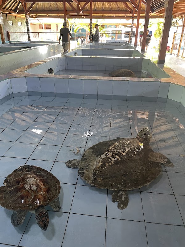 Turtle Conservation And Education Center 5