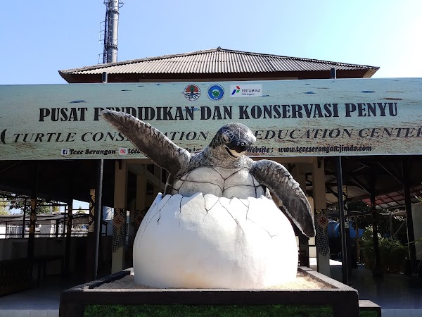 Turtle Conservation And Education Center 3