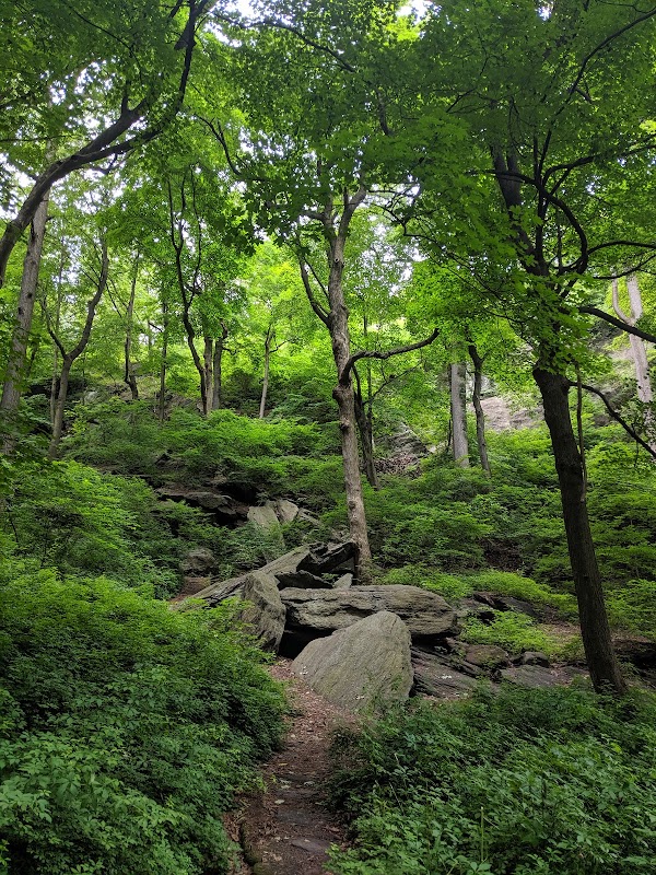 Inwood Hill Park 2