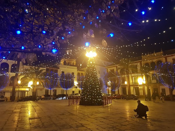 Plaza San Fernando 4