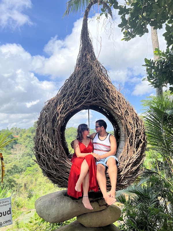 Aloha Ubud Swing 4