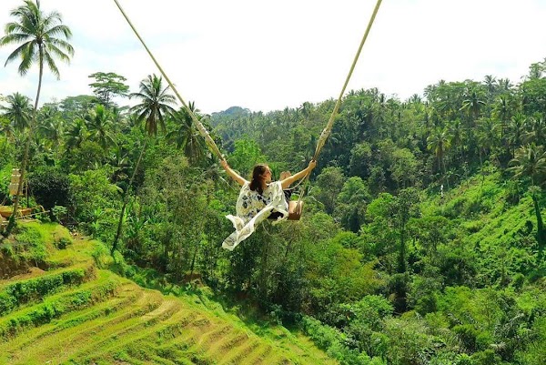 Aloha Ubud Swing 3