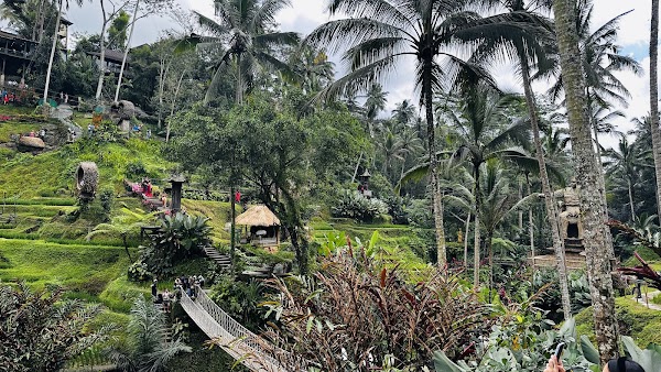 Aloha Ubud Swing 2